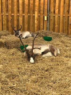 Henry Street Garden Centre