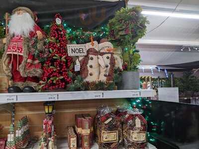 Henry Street Garden Centre