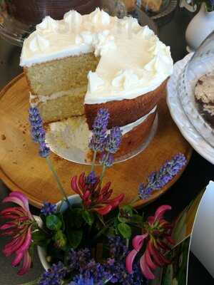 The Novel Coffee Shop