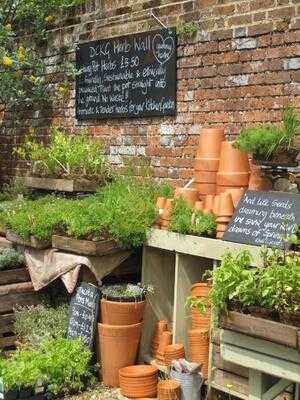 The Walled Garden Centre