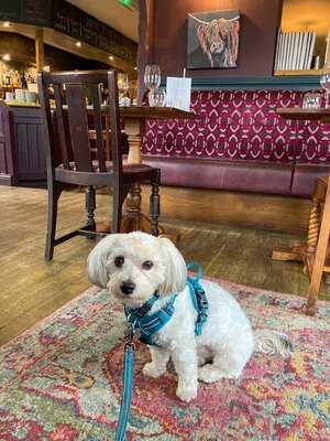 The White Horse Inn Restaurant