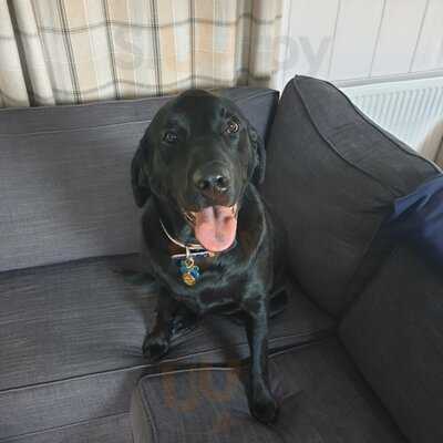 The Brook Bar & Bistro