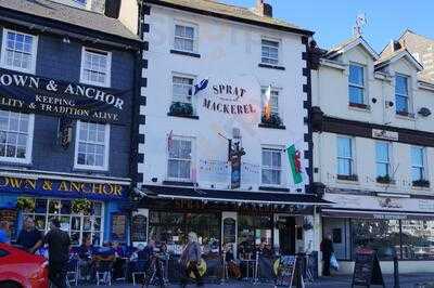 The Sprat & Mackerel