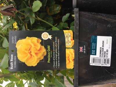 Albrighton Garden Centre