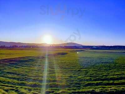 Links Bar At Rhyl Golf Club