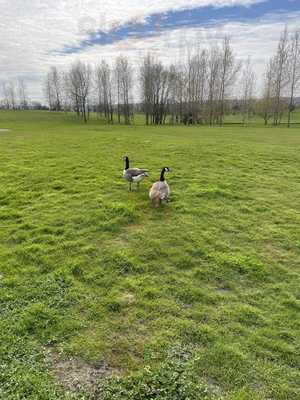 The Lottbridge Golf Club