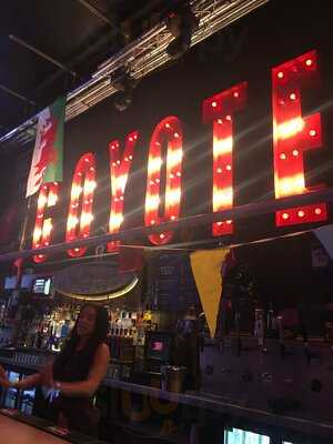Coyote Ugly Saloon