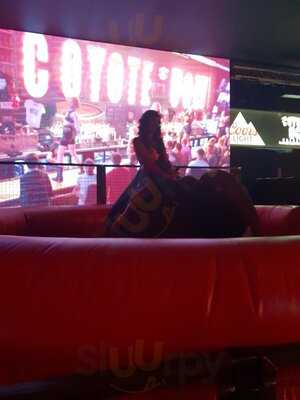 Coyote Ugly Saloon