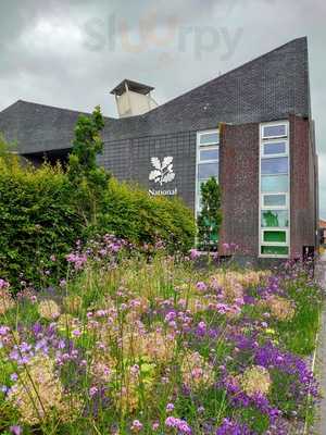 National Trust Hq
