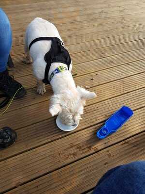 Crumbles Coffee Shop