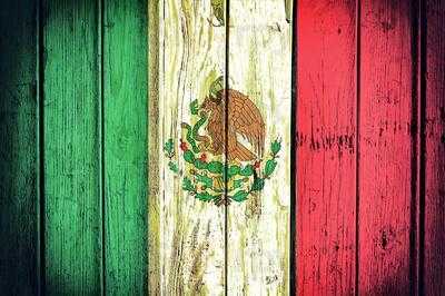 The Kitchen Fresh Food