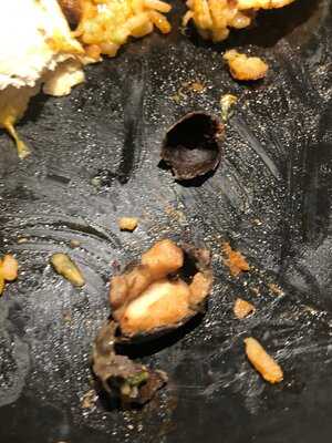 The Kitchen Fresh Food