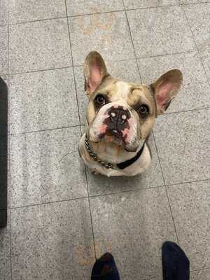 Starbucks - Village Hotel