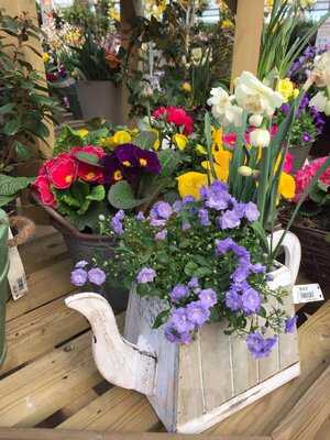 Hanging Gardens Garden Centre & The Potting Shed Tearoom