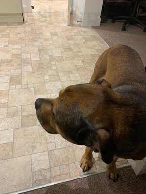 Kfc Chesterfield - Lockfield Road