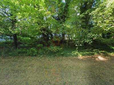 Naunton Downs Golf Club