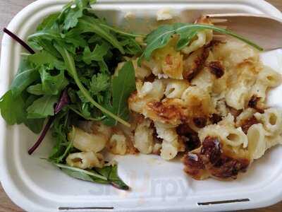 Cognito At The Cross