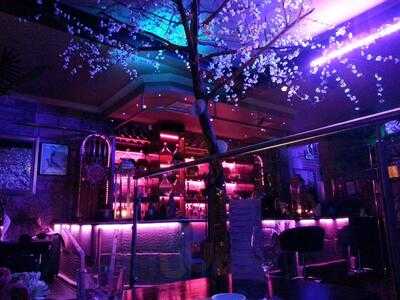 Ivy Cocktail Bar & Restaurant