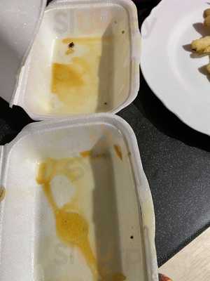 Chipmunk - Boundary Road