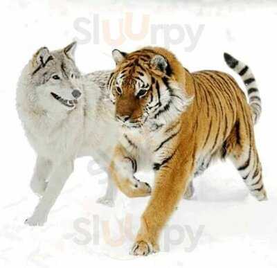 The Sandwich Box Plus