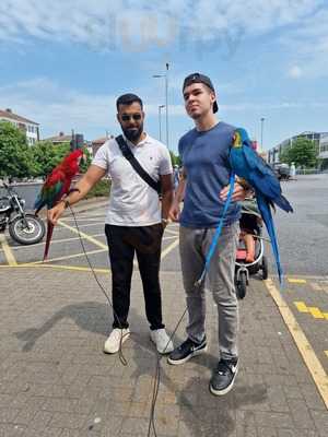 The Sandwich Box Plus