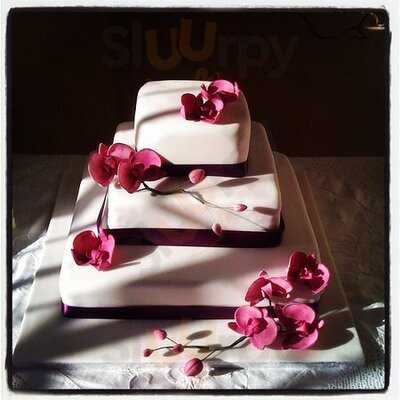 Eat Cake & Celebrate