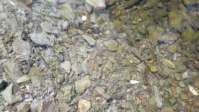 Town & Country Pizzas