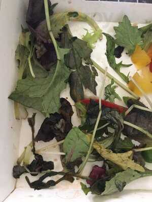 Lathams Of Broughton