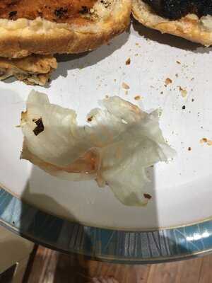 Havans Burgers And Shakes