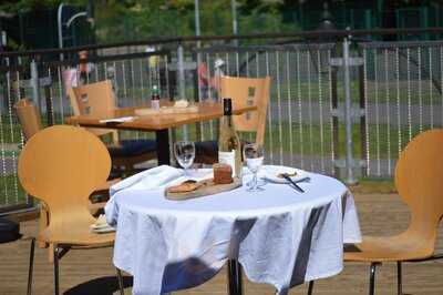 Squirrel Cafe And Mini Golf