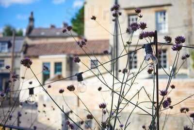 Jaq At The Provenist