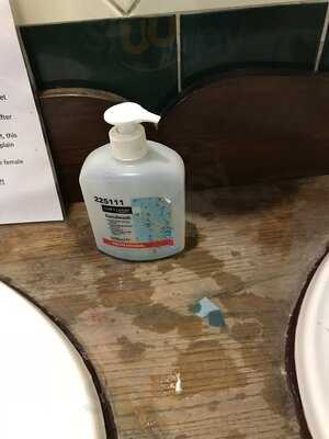 The Strawberry Gardens