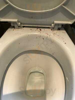 The Strawberry Gardens