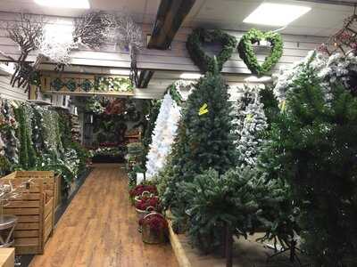 Hilltop Garden Centre Cafe