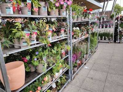 Waitrose Cafe - Swindon