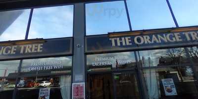 The Orange Tree