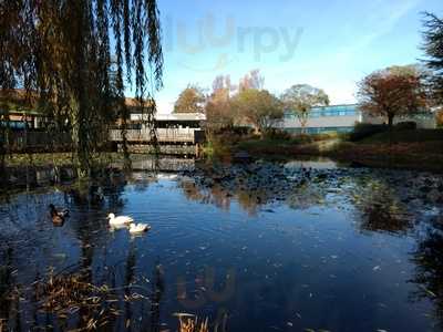 D-licious Coffee & Sandwich Bar