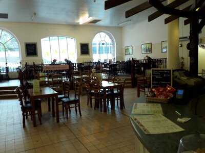 The Harmony Salad Bowl