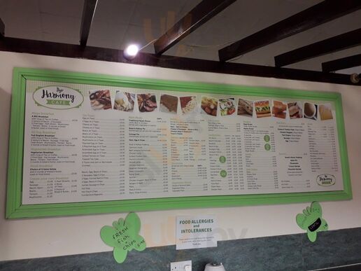 The Harmony Salad Bowl