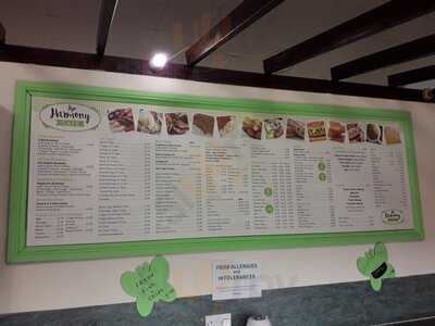 The Harmony Salad Bowl