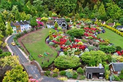 The Shamrock Restaurant