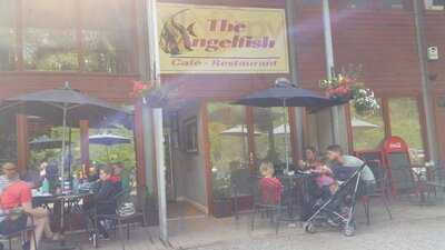 Angelfish Cafe
