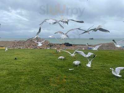 Deep Blue (clarence Esplanade)