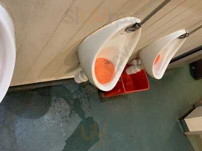 Wild Lime Bar And Kitchen