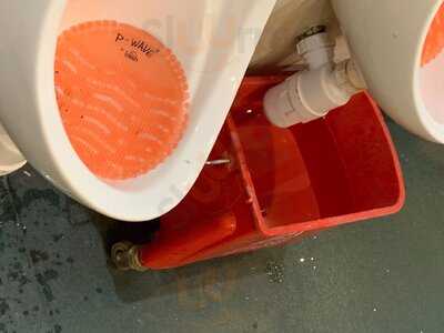 Wild Lime Bar And Kitchen