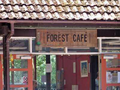 The Forest Cafe And Ice Cream Parlour