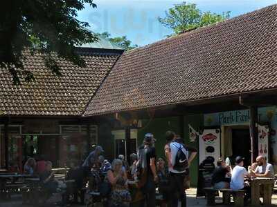 The Forest Cafe And Ice Cream Parlour