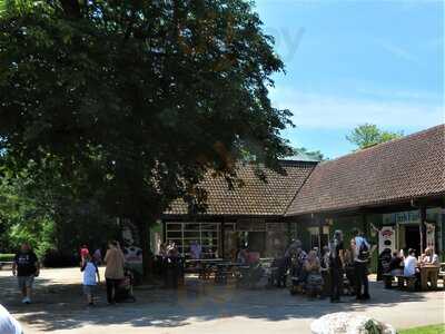 The Forest Cafe And Ice Cream Parlour