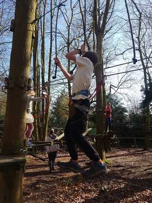 The Forest Cafe And Ice Cream Parlour