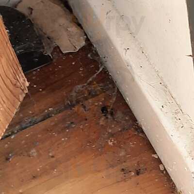 Dobbies Garden Centre Milton Keynes